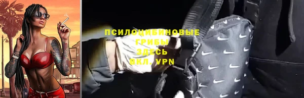 молекула духа Россошь