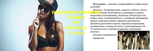spice Балахна