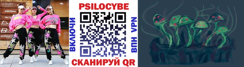 Псилоцибиновые грибы GOLDEN TEACHER  блэк спрут зеркало  Шахунья  цены наркотик 